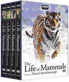 Book jacket for The Life of Mammals
